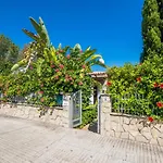 Hibiscus - Adelfa